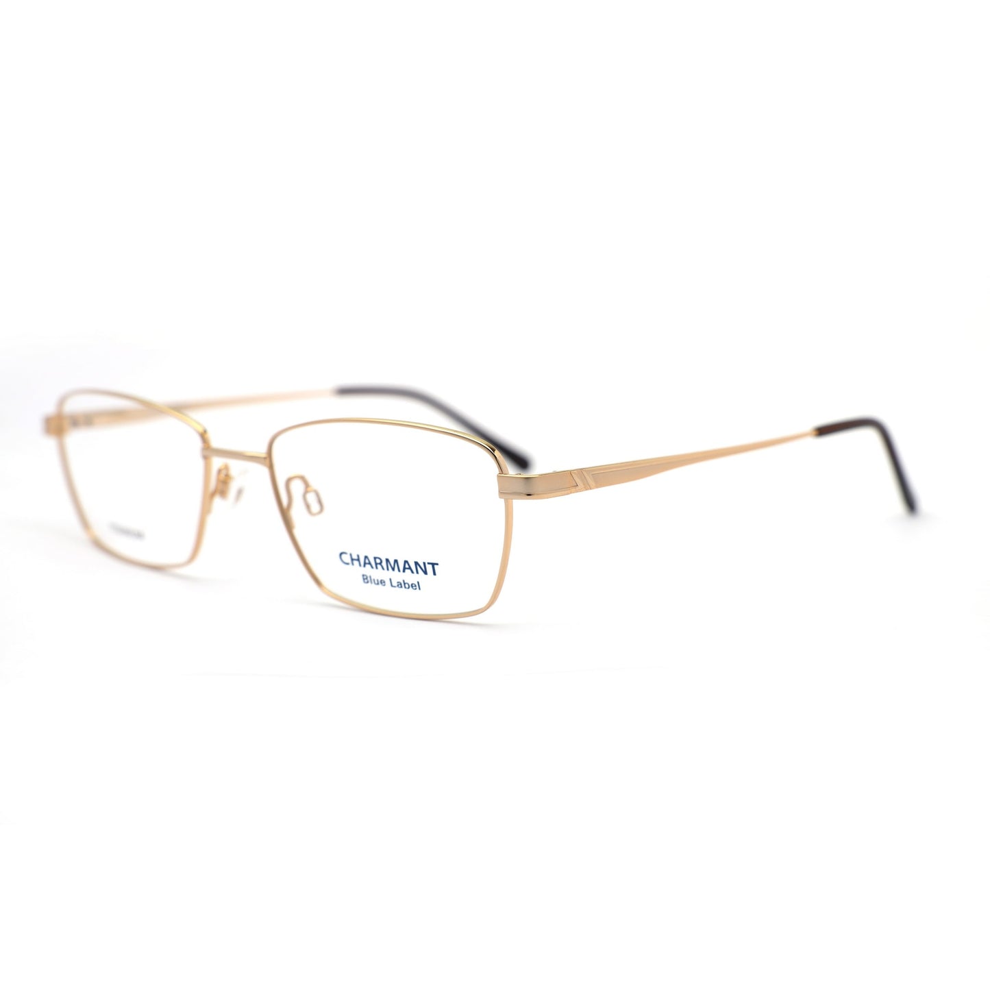 Gọng kính CHARMANT BLUE (F) CH16138