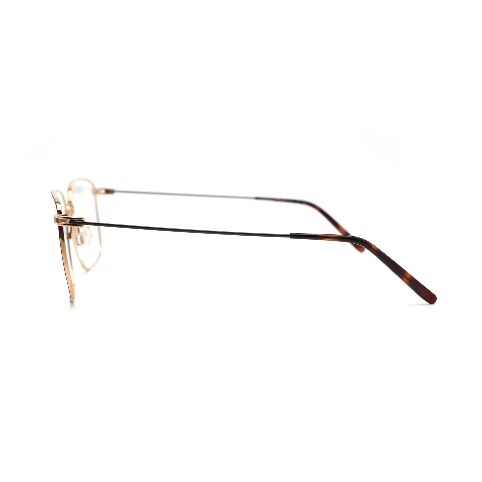 Gọng kính CHARMANT (F) CH29722_55